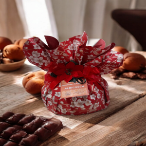 panettone-artigianale-allalbicocca